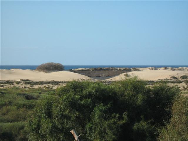 villa in caesarea